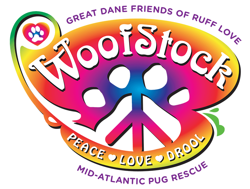 Woofstock 2019 at NoDa Brewing in Charlotte NC