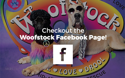 Check Out the Woofstock Facebook Page!