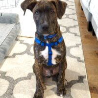 601822239_1324038069751933_2930159795962266168_n