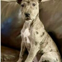 603088057_1322303406592066_346312665657187597_n