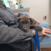 604670383_1322350859920654_1087611637550569081_n