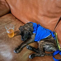 604707480_1322350926587314_7307431939967663338_n