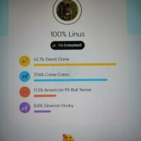 604761641_1322352563253817_9134946512564763504_n