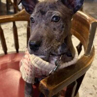 605153267_1322303209925419_4579963156295981704_n