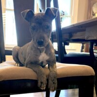 605728755_1322303366592070_2022676424724784263_n